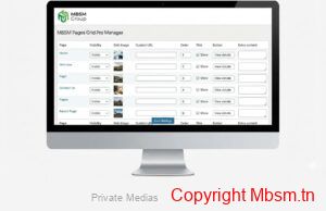 mbsm-pages-grid-pro-technical-architecture-guide